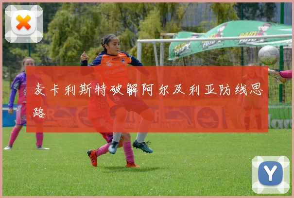 麦卡利斯特破解阿尔及利亚防线思路