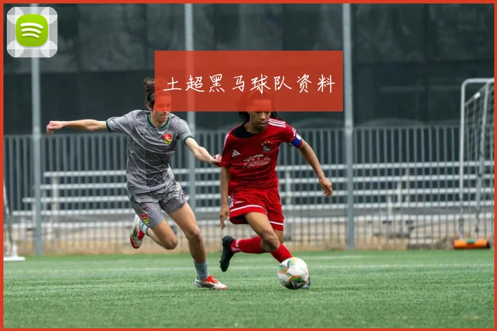 土超黑马球队资料