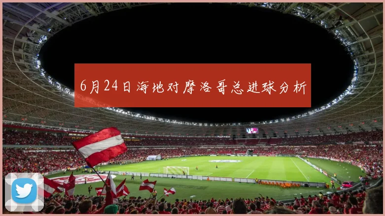 6月24日海地对摩洛哥总进球分析