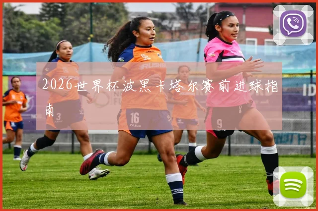 2026世界杯波黑卡塔尔赛前进球指南